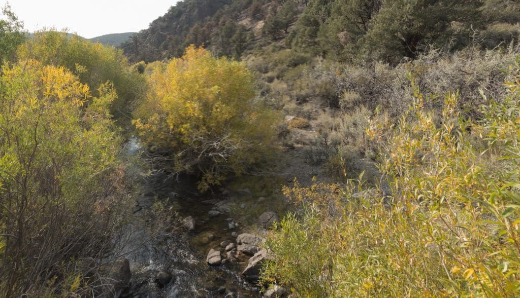 Sweetwaters Fall Color