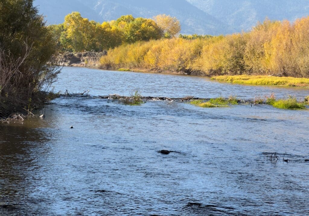 Carson River in Fall