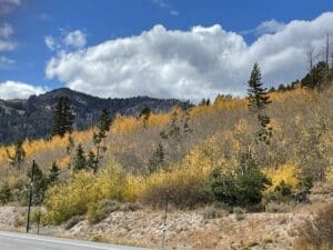 Fall color along the Mount Rose Highway
